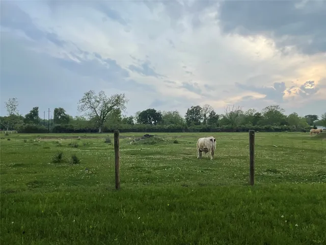 a view of a green field with trees in the background