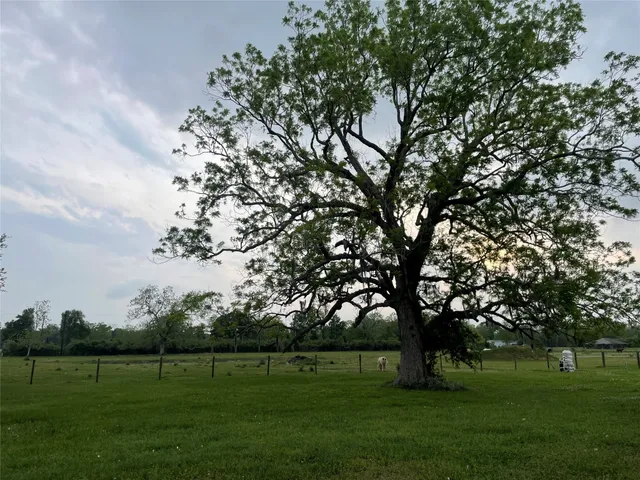 a view of a lobby area