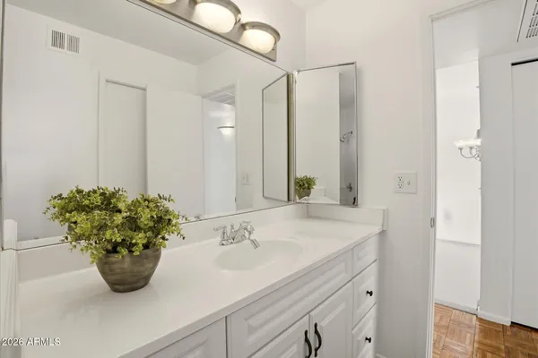 a bathroom with a sink a potted plant and a window