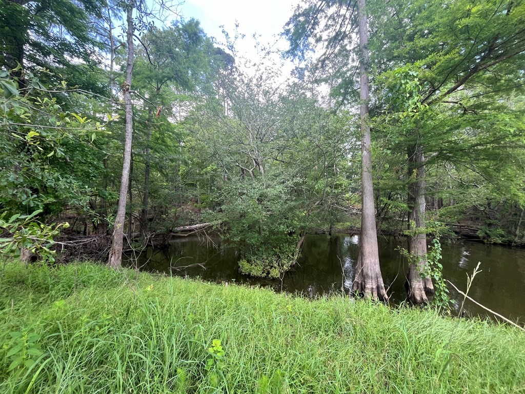 Lot 1-2 Perryman Glaze Road Huntington, TX 75949 - Photo 11 of 11