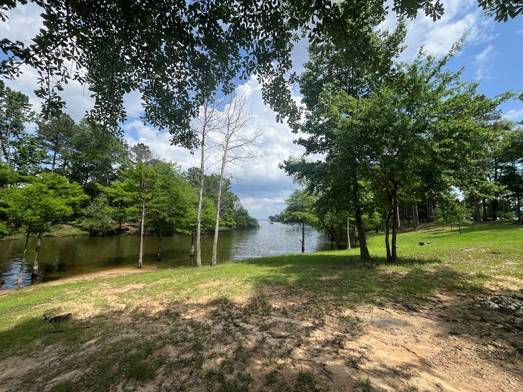 Lot 1-2 Perryman Glaze Road Huntington, TX 75949 - Photo 4 of 11