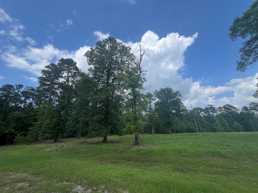 Lot 1-2 Perryman Glaze Road Huntington, TX 75949 - Photo 8 of 11