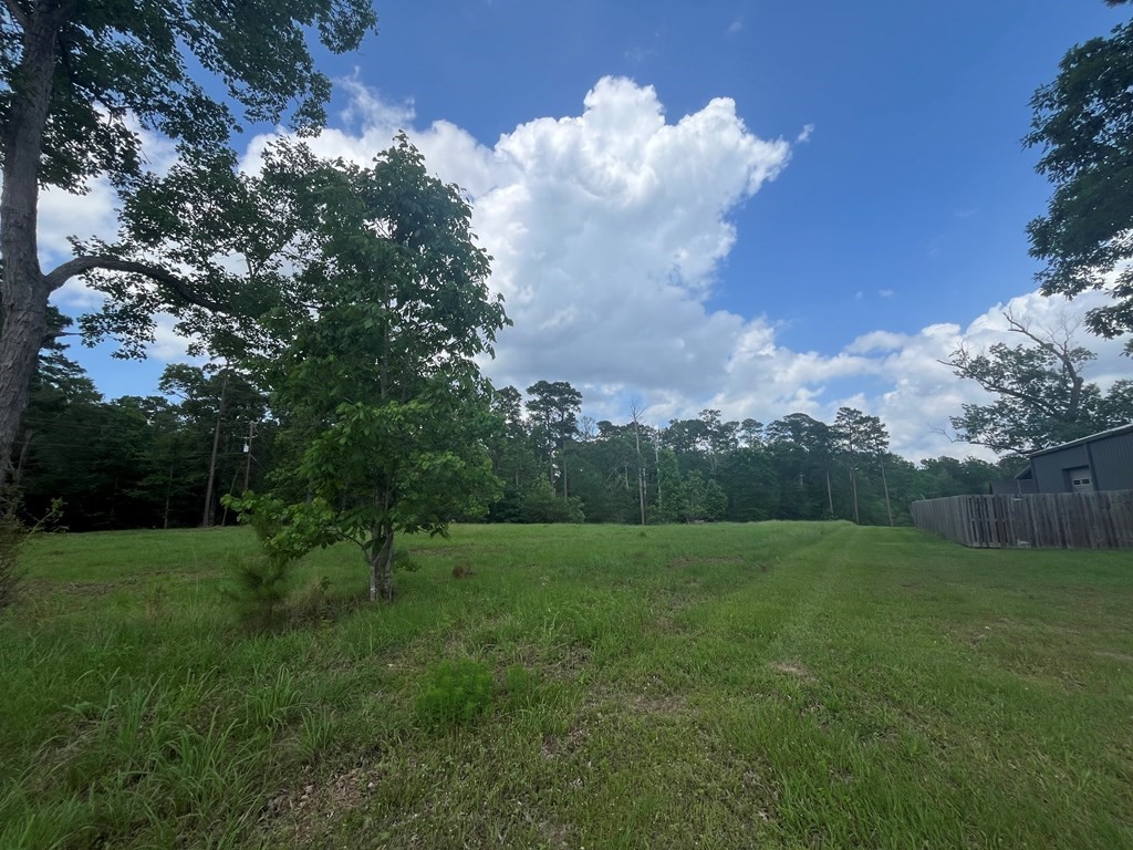 Lot 1-2 Perryman Glaze Road Huntington, TX 75949 - Photo 9 of 11