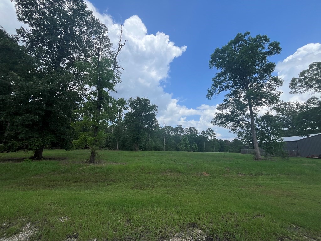 Lot 1-2 Perryman Glaze Road Huntington, TX 75949 - Photo 10 of 11