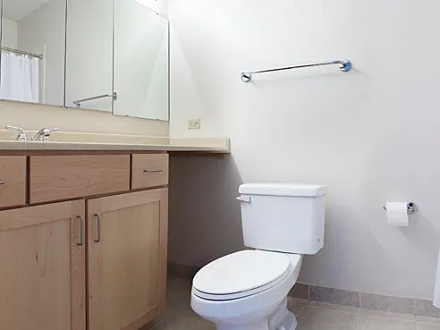 a bathroom with a sink a toilet and vanity