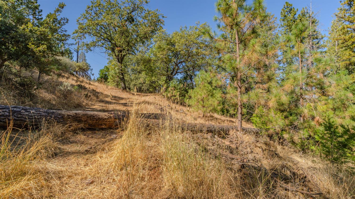 11456 Gold Strike Road Pine Grove, CA 95665 - Photo 12 of 24 Gallery Image 12