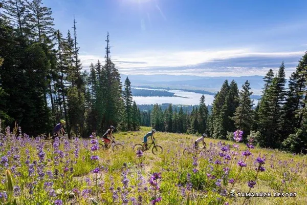 $399,000 | 75 Arling Center Court, Unit 208, Donnelly, ID 83615