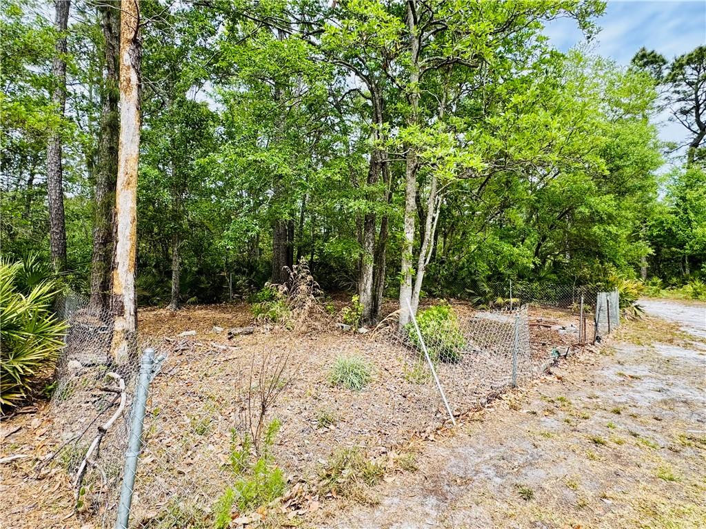 5062 Lampadoshia Road Waverly, GA 31565 - Photo 6 of 25 Fenced are for animals / Front yard