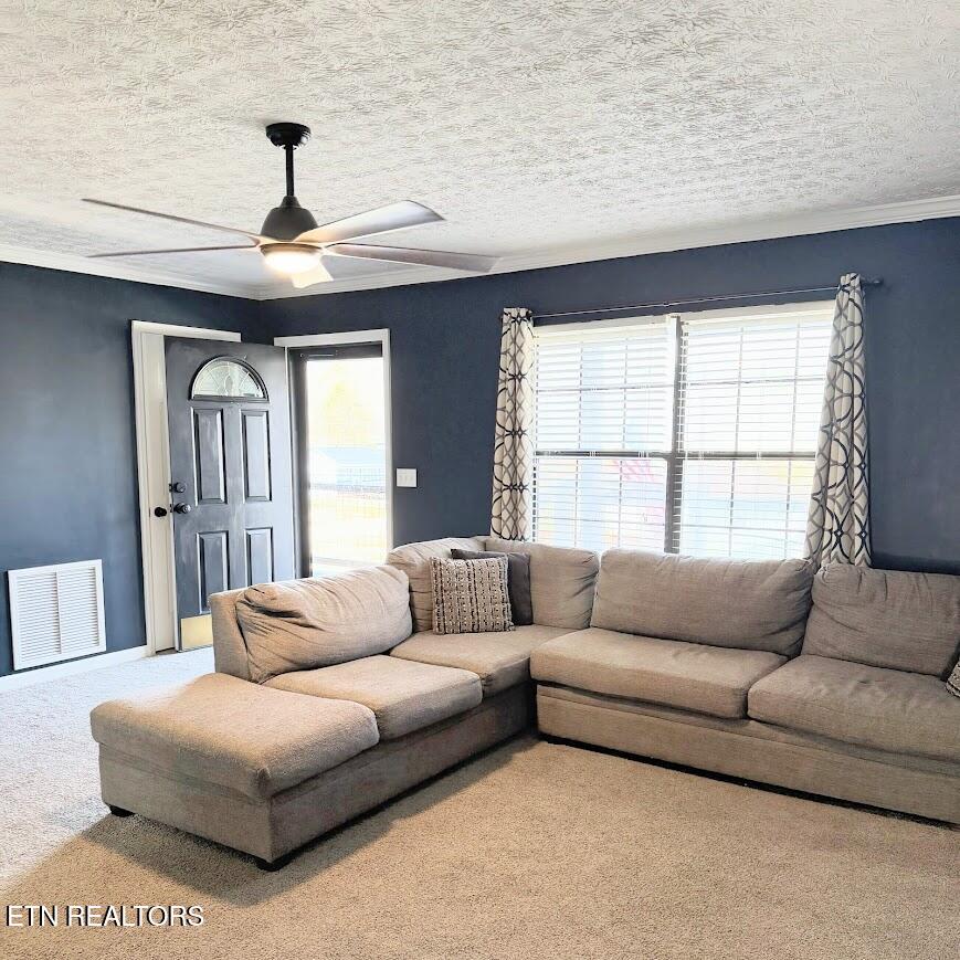 221 Cross Creek Road Maynardville, TN 37807 - Photo 2 of 19 IMG_8174