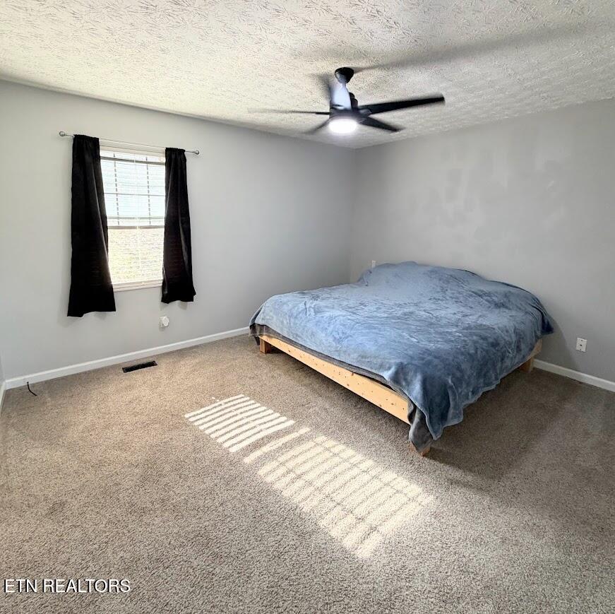 221 Cross Creek Road Maynardville, TN 37807 - Photo 7 of 19 Master Bedroom