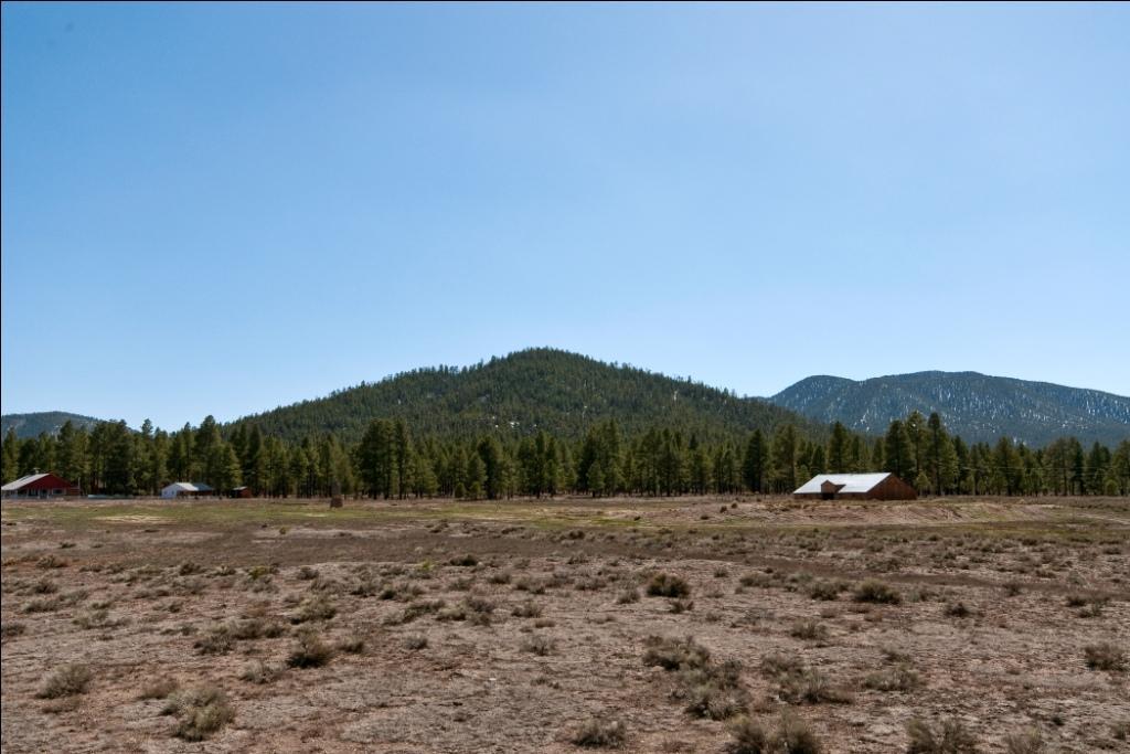 17 North Spring Valley Road Parks, AZ 86018 - Photo 1 of 1 Primary Photo