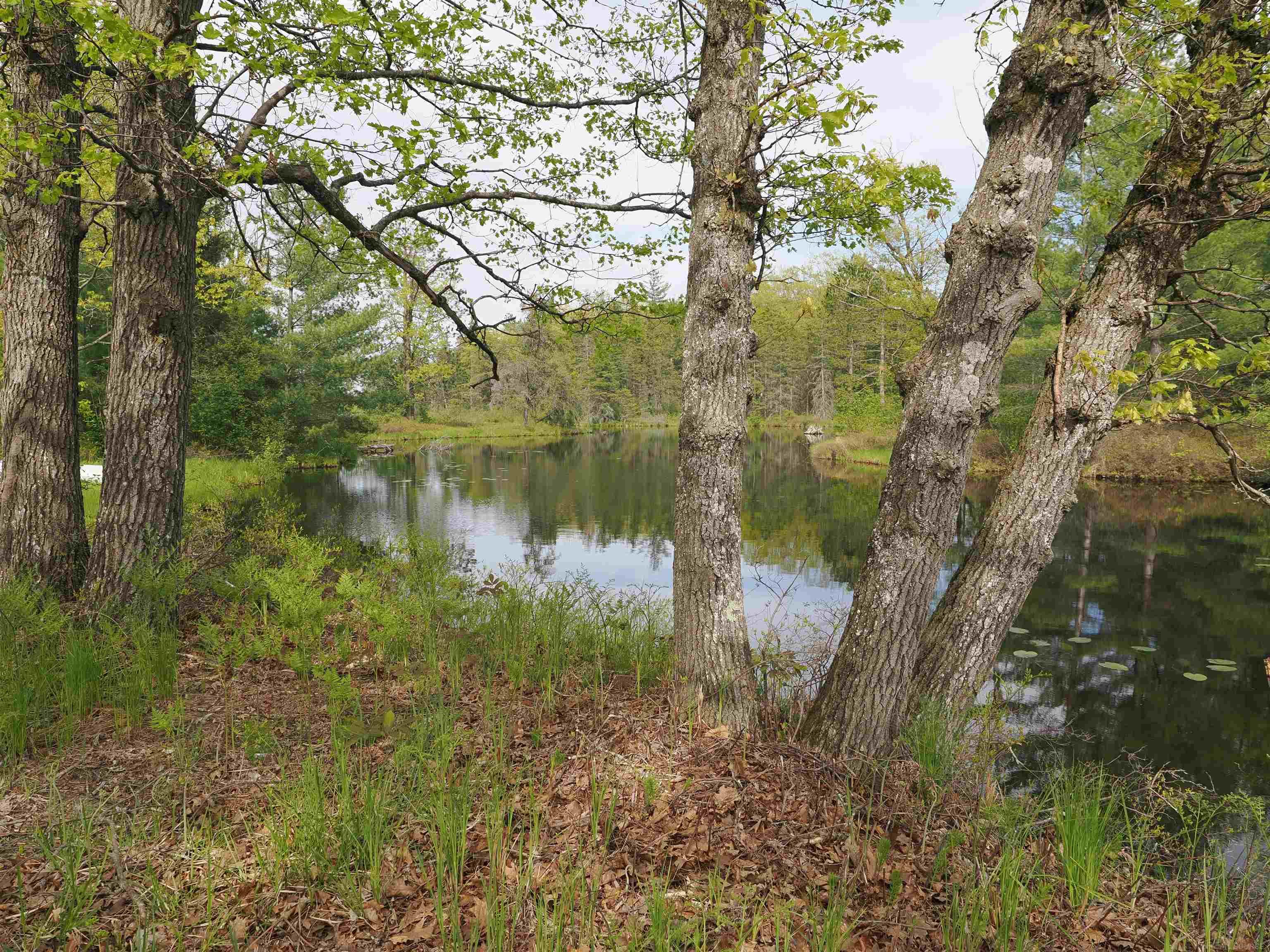 4011 Sandall Road Alpena, MI 49707 - Photo 65 of 73
