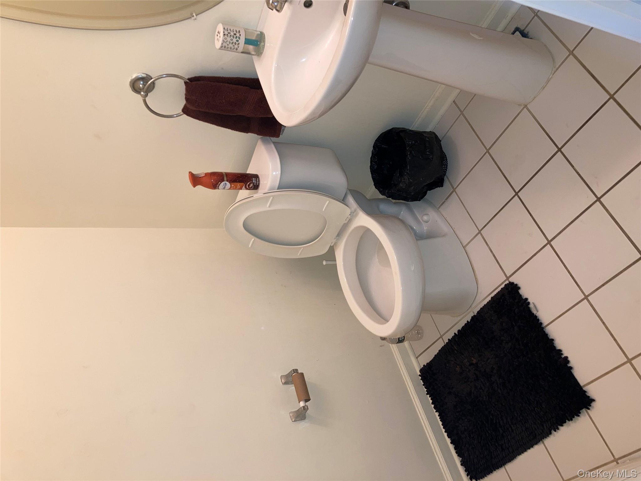 3 Webster Court Monroe, NY 10950 - Photo 19 of 25 a bathroom with a toilet and a sink