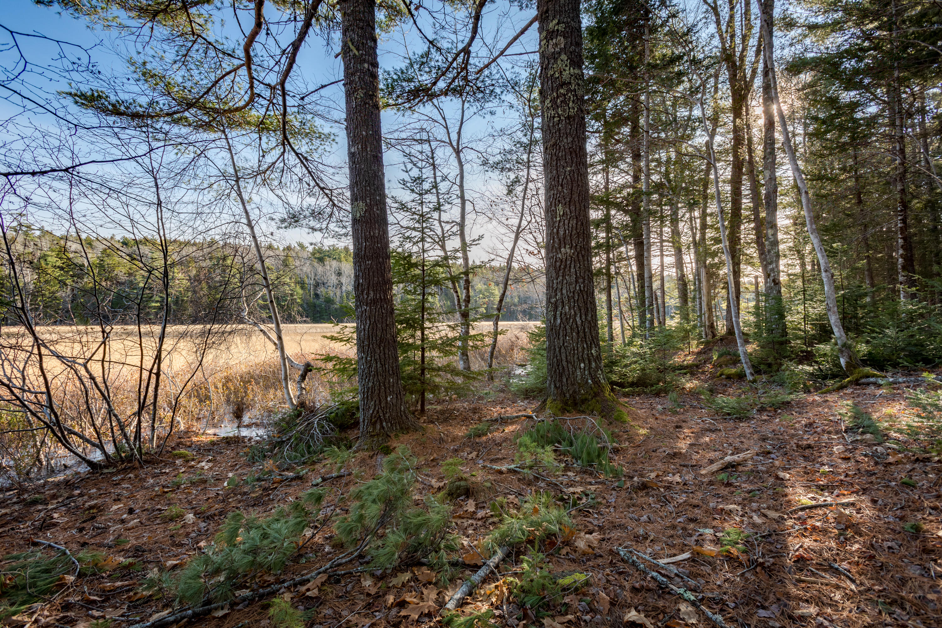 102 Pretty Marsh Road Mount Desert, ME 04660 - Photo 21 of 24 36-102PrettyMarshRd-MountDesert-KS