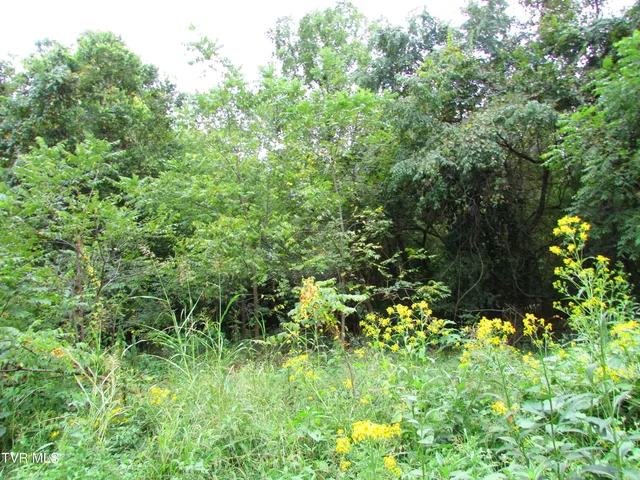 $59,900 | 700 West Riverside Drive, Unit 2, Elizabethton, TN 37643