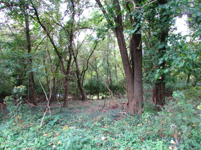 $59,900 | 700 West Riverside Drive, Unit 2, Elizabethton, TN 37643