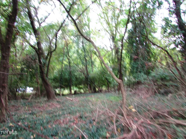 $59,900 | 700 West Riverside Drive, Unit 2, Elizabethton, TN 37643