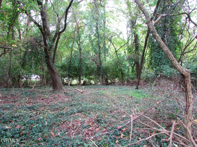 $59,900 | 700 West Riverside Drive, Unit 2, Elizabethton, TN 37643