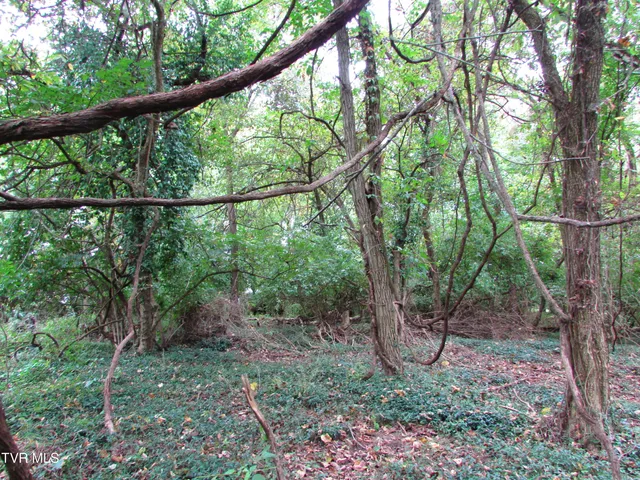 $59,900 | 700 West Riverside Drive, Unit 2, Elizabethton, TN 37643