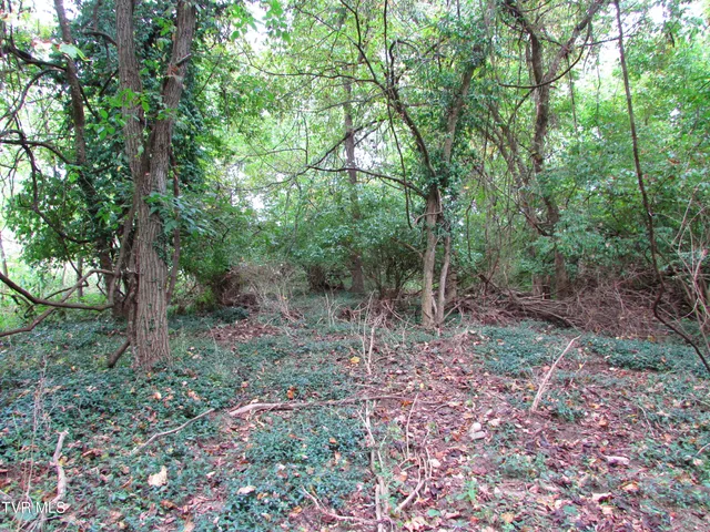 $59,900 | 700 West Riverside Drive, Unit 2, Elizabethton, TN 37643