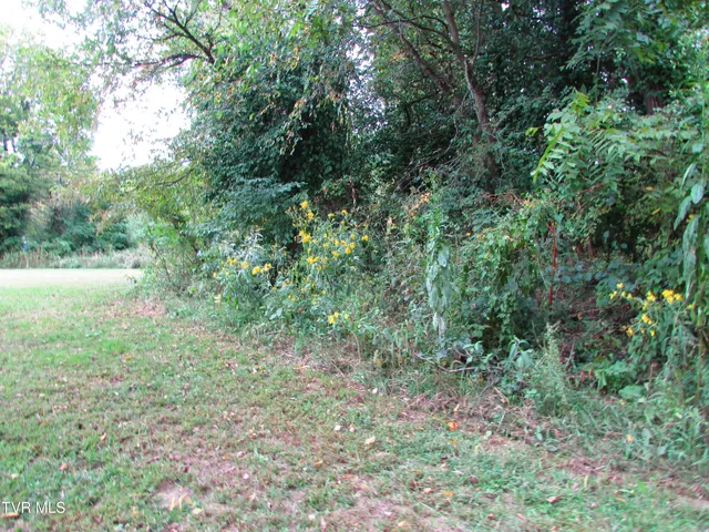 $59,900 | 700 West Riverside Drive, Unit 2, Elizabethton, TN 37643