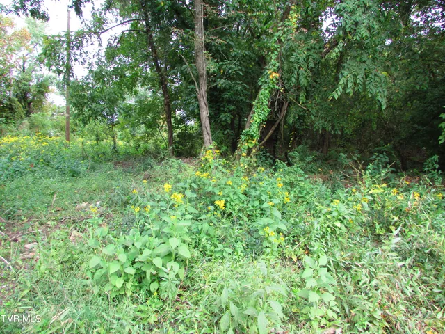 $59,900 | 700 West Riverside Drive, Unit 2, Elizabethton, TN 37643