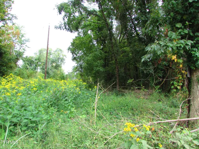 $59,900 | 700 West Riverside Drive, Unit 2, Elizabethton, TN 37643