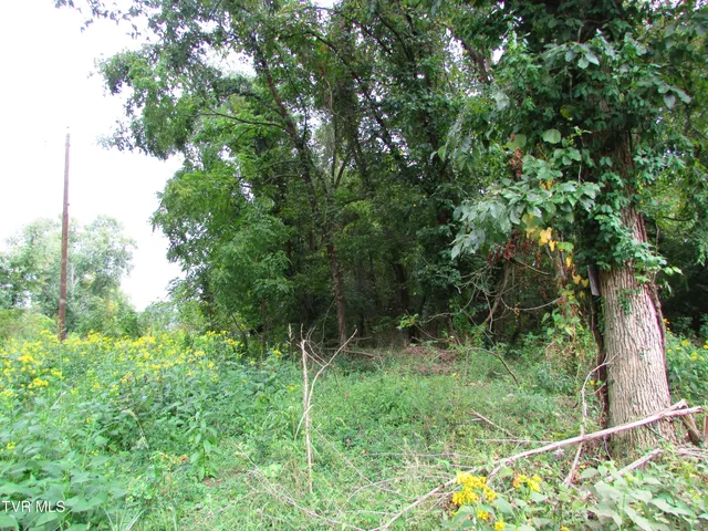 $59,900 | 700 West Riverside Drive, Unit 2, Elizabethton, TN 37643