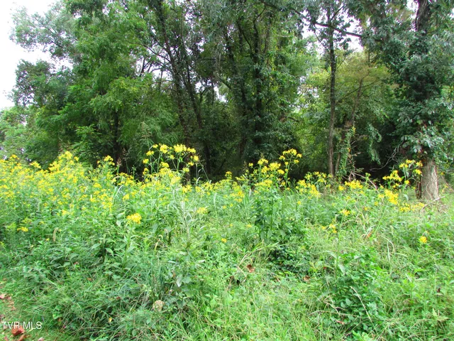 $59,900 | 700 West Riverside Drive, Unit 2, Elizabethton, TN 37643