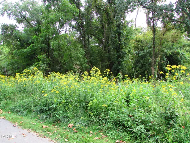 $59,900 | 700 West Riverside Drive, Unit 2, Elizabethton, TN 37643