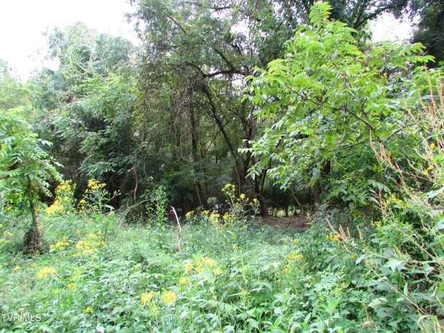 $59,900 | 700 West Riverside Drive, Unit 2, Elizabethton, TN 37643