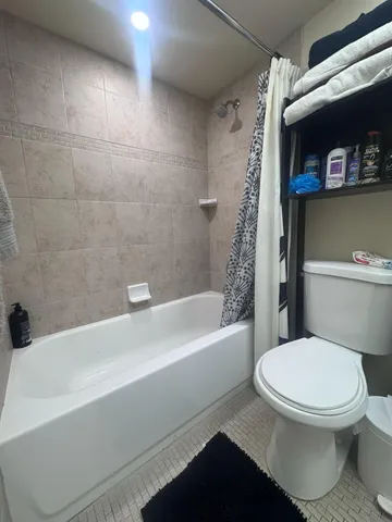 a bathroom with a toilet and a bathtub