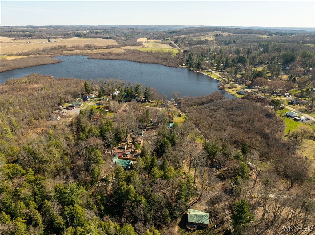 1775 Birch Crescent Drive Java, NY 14009 - Photo 30 of 36