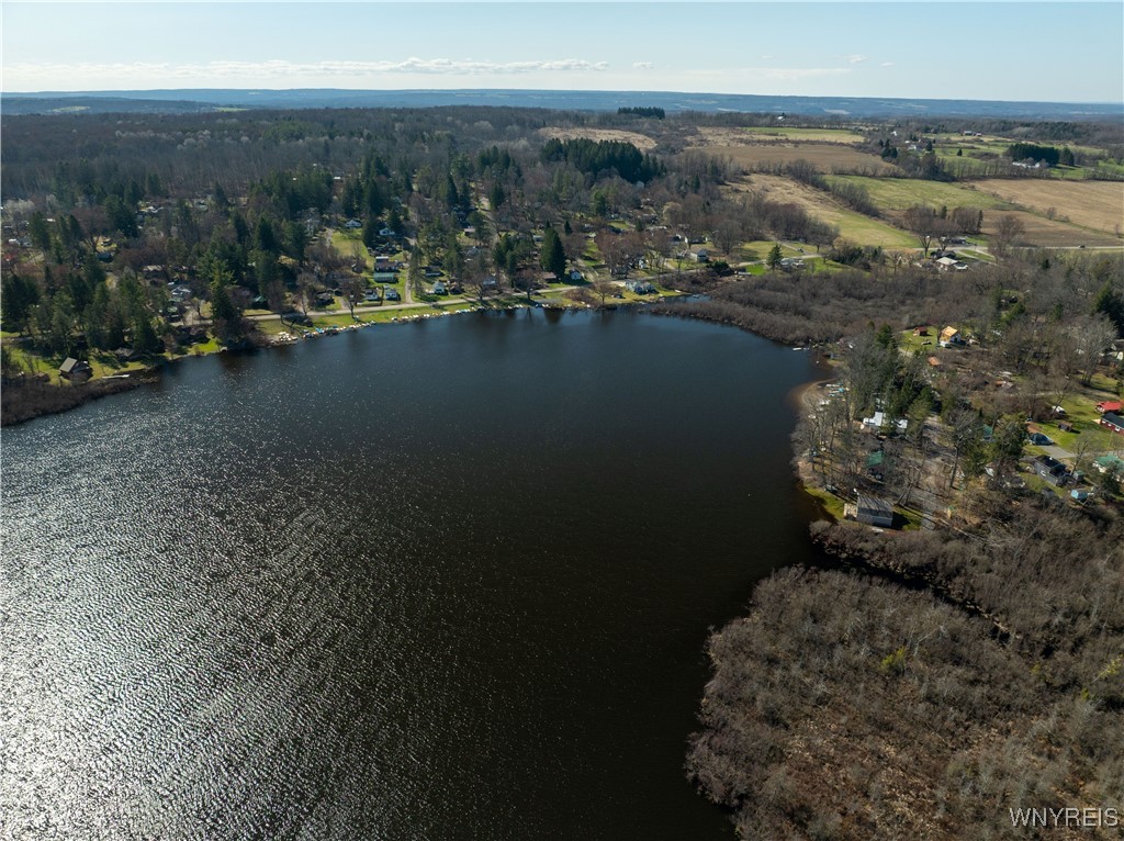 1775 Birch Crescent Drive Java, NY 14009 - Photo 32 of 36