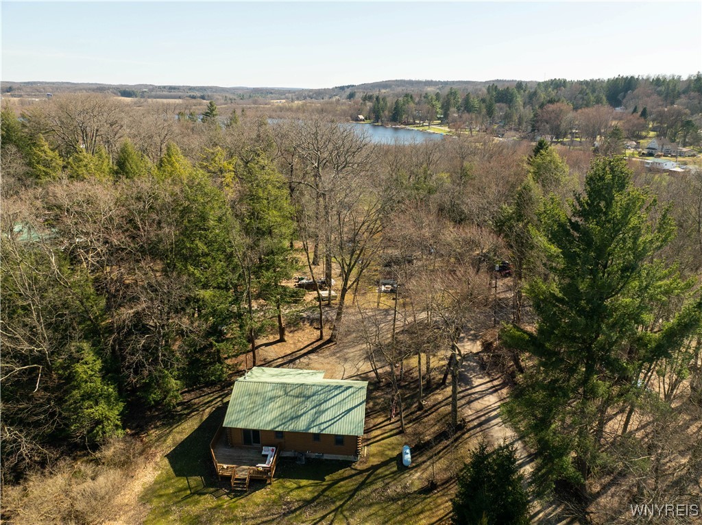 1775 Birch Crescent Drive Java, NY 14009 - Photo 33 of 36