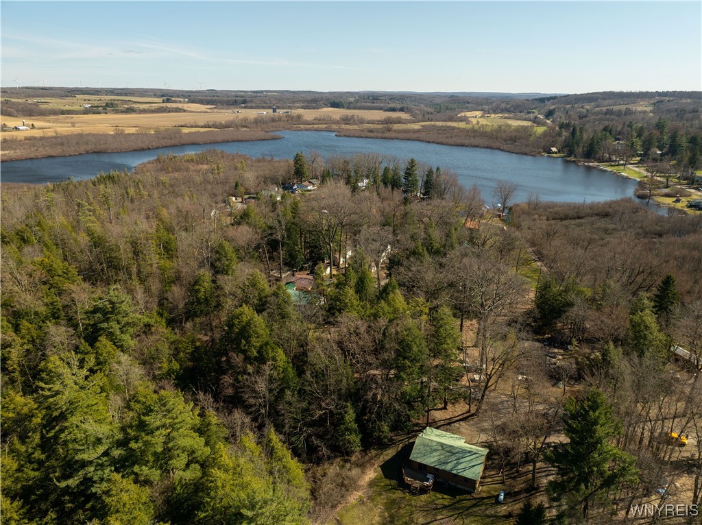 1775 Birch Crescent Drive Java, NY 14009 - Photo 5 of 36