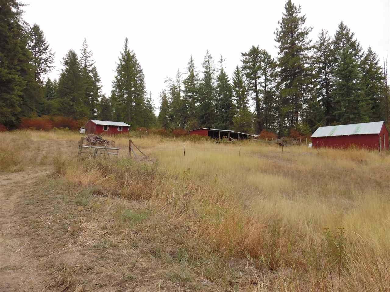 19619 North Day Mt Spokane Road Mead, WA 99021 - Photo 14 of 20 Gallery Image 14