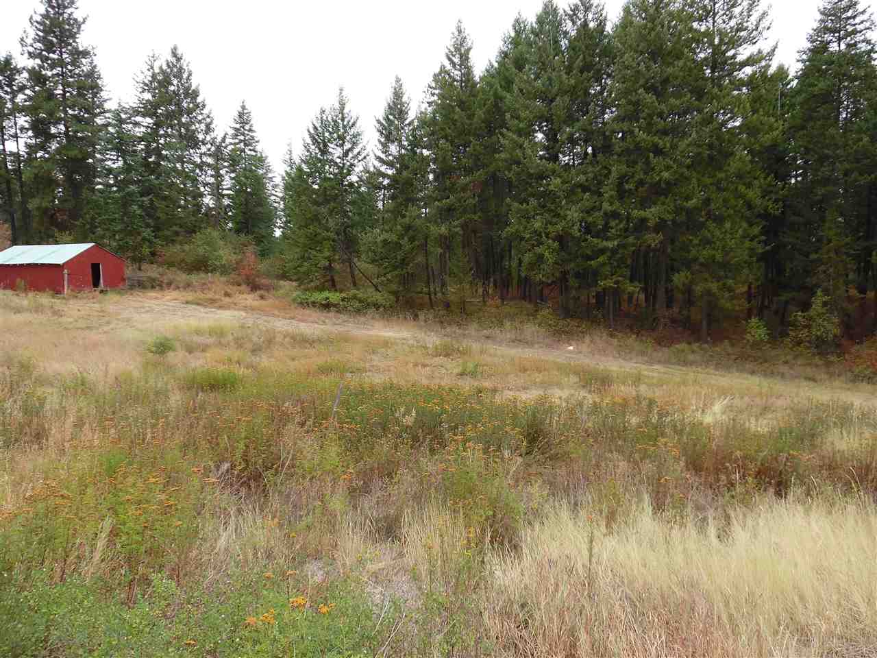 19619 North Day Mt Spokane Road Mead, WA 99021 - Photo 15 of 20 Gallery Image 15