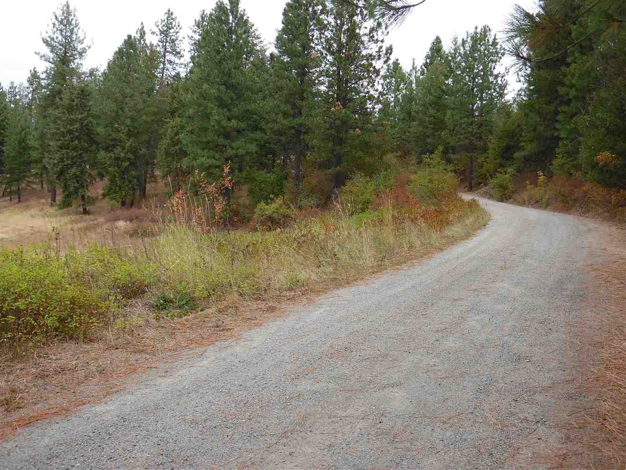 19619 North Day Mt Spokane Road Mead, WA 99021 - Photo 16 of 20 Gallery Image 16