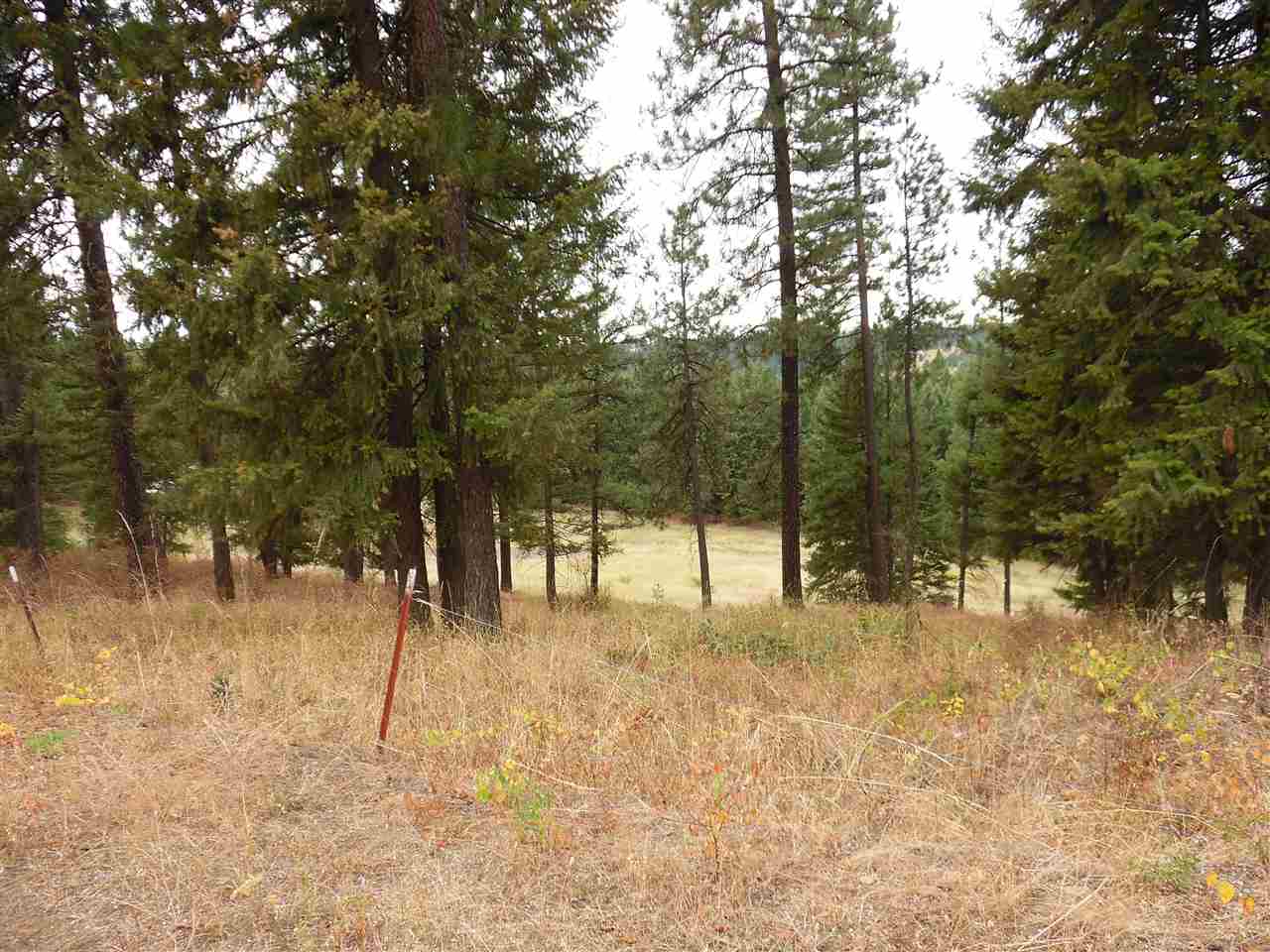 19619 North Day Mt Spokane Road Mead, WA 99021 - Photo 18 of 20 Gallery Image 18