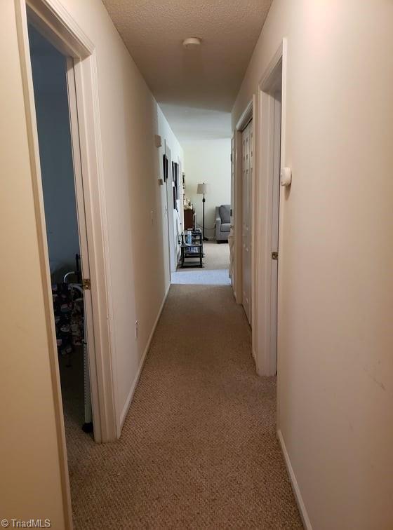 475 Ward Curry Road Lexington, NC 27292 - Photo 20 of 20 Gallery Image 20