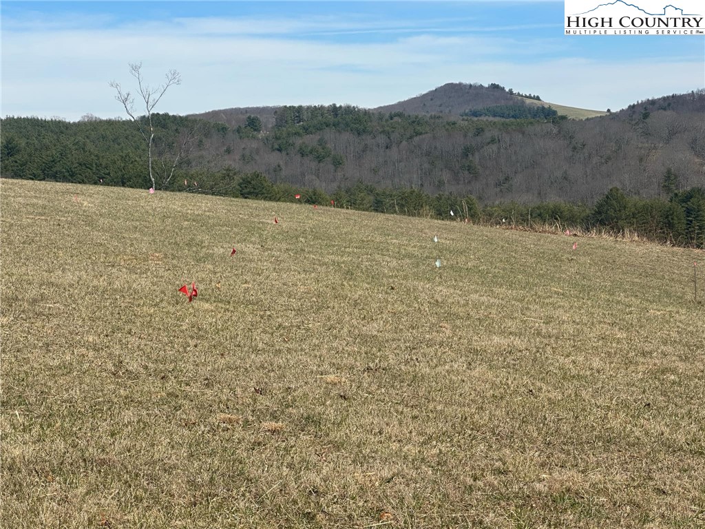 a view of a dry field with mountains in the background