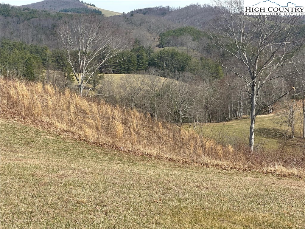 Lot 12 Turtle Rdg Road Sparta, NC 28675 - Photo 2 of 7 a view of a dry yard with trees