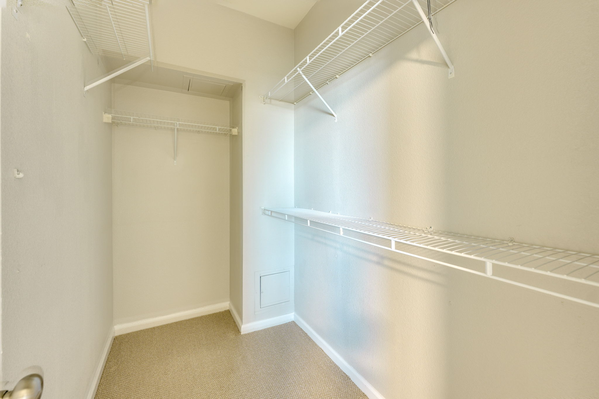 11203 Ranch Road 2222, Unit 901 Austin, TX 78732 - Photo 29 of 40 Walk in closet featuring light carpet