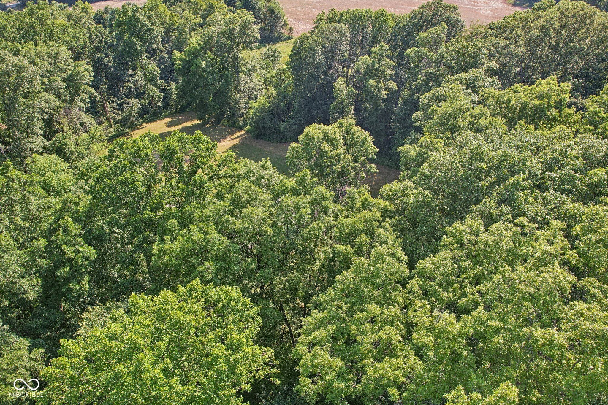 6583 Goose Creek Road Freedom, IN 47431 - Photo 43 of 45