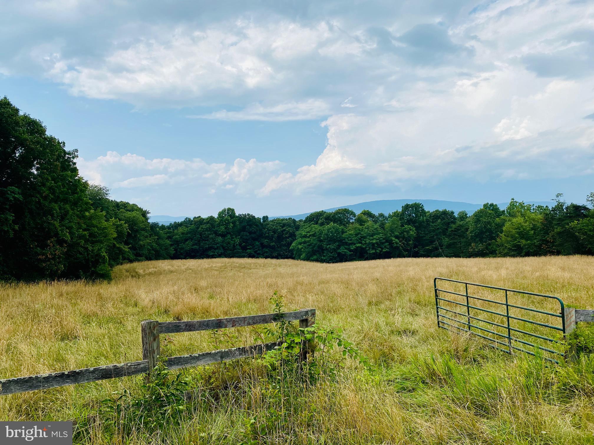 914 Plains Road Paw Paw, WV 25434 - Photo 11 of 33