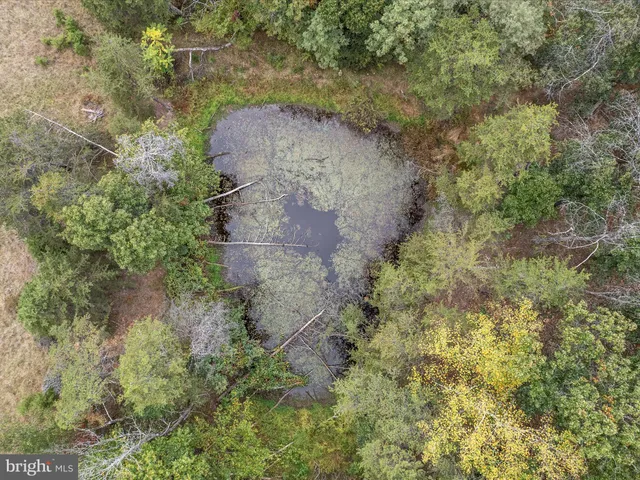 a aerial view of a house with a yard and large tree