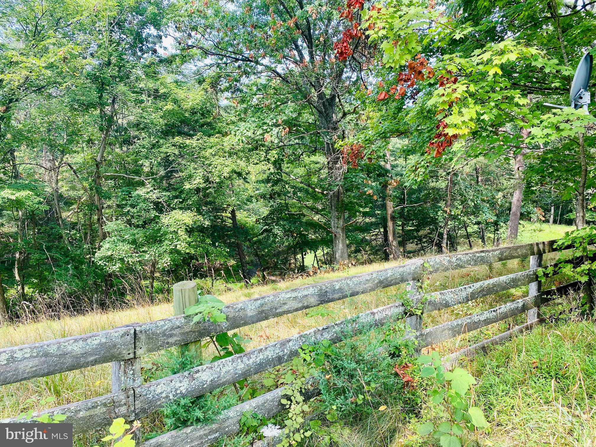 914 Plains Road Paw Paw, WV 25434 - Photo 14 of 33