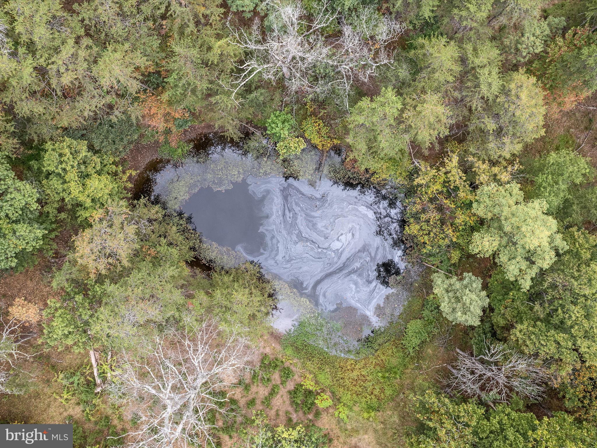 914 Plains Road Paw Paw, WV 25434 - Photo 17 of 33 Pond