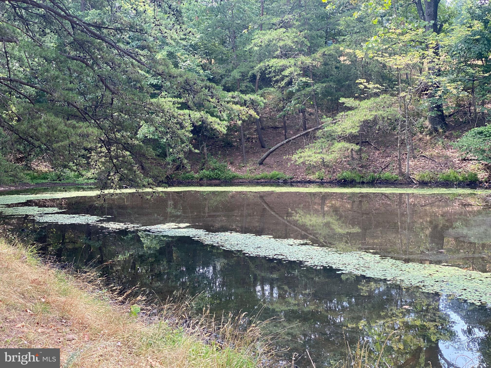 914 Plains Road Paw Paw, WV 25434 - Photo 19 of 33